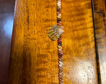 7 1/2” kahealani sunrise shell bracelet