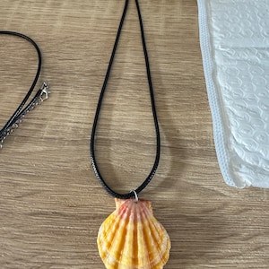 May include: A seashell pendant necklace. The pendant is a natural, fan-shaped seashell with yellow and pink hues. It hangs from a black cord necklace with a silver-tone clasp. The necklace is displayed on a wooden surface.