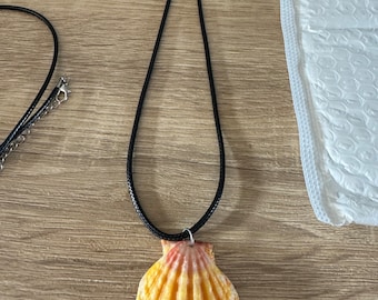 Beautiful Kauai sunrise shell necklace on a chain, sunrise shell, kahealani shell, momi shell, puka shell, hawaiian seashells, ocean gems