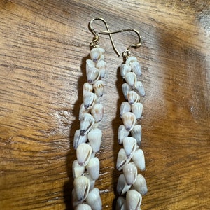 Kauai Muschel Ohrringe, gold filled Ohrhaken, Kahealani Muschel, Puka Muschel, Momi Muschel, Niihau Lei, Hawaiische Muschel, Muschel Edelsteine