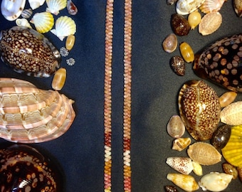 Beautiful Kahealani  sunrise shell necklace with 7 colors. Kahealani#puka#Kauai shell#Hawaiian shell#