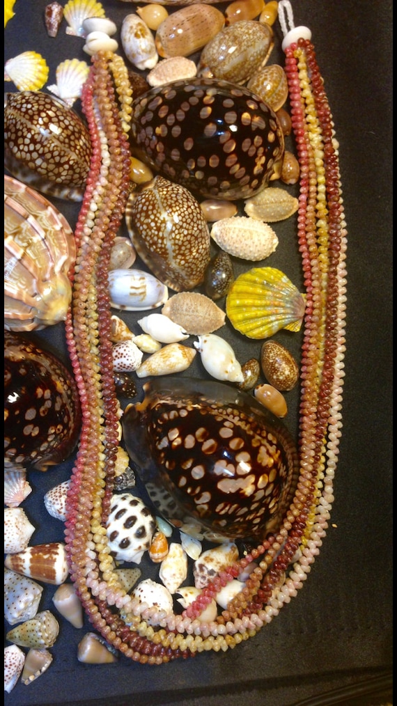 Image Puka image beautiful image beautiful image beautiful - Beautiful 5-strand Kahealani Lei 24”, Kahealani Shell Jewelry ...