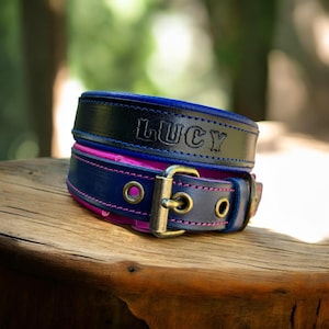 May include: A dark blue leather collar featuring the name LUCY embossed in capital letters. The collar has bright pink stitching, a brass-toned metal buckle, and matching brass-toned eyelets for adjustment, showcasing a layered design.