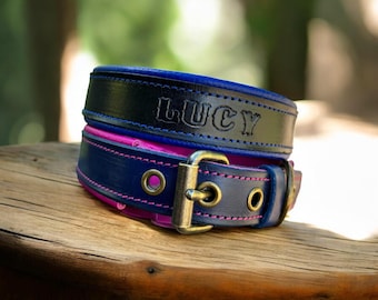 Collar de cuero acolchado para perros de 2,5 cm de ancho