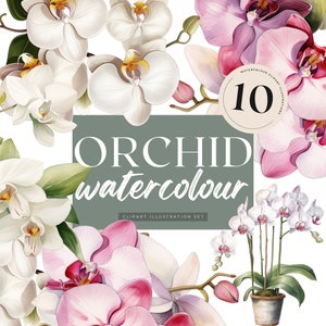Orchid Watercolour Clipart Set – 10 PNG Images | Floral Digital Download for Scrapbooking, Stickers & Wedding Invitations