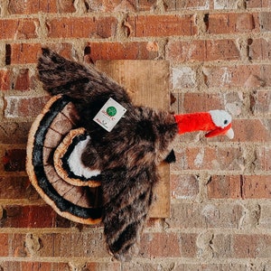 May include: A plush turkey toy with a brown and white feathered body, a red head, and a white beak. The toy is mounted on a wooden plaque with a green tag that reads "Go Wild".