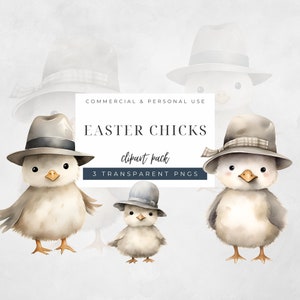 Aquarela Pintinho De Páscoa Clipart, Pintinhos De Páscoa Em Chapéus Ilustrações Clip art, Cute Farm Chicken PNGs, Cute Spring Birds Png, C014