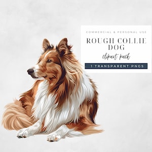 Rough Collie hund Clipart, söt Collie hund Clipart, akvarell Collie Clipart, rolig Rough Collie hund Clipart, enda högkvalitativ PNG, C009
