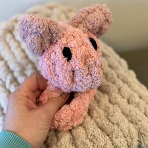 May include: A pink crocheted stuffed animal shaped like a pig with black eyes. The pig is being held by a hand.