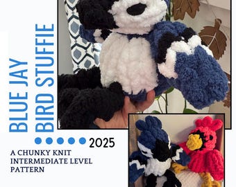 Chunky Knit Blue Jay Stuffie pdf-patroon met Cardinal Bird-modificatie (geen videotutorial)/Finger Knit BlueJay/Cardinal