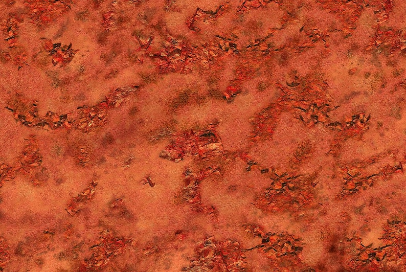 May include: A close-up of a rusty, orange-brown textured surface. The surface has a rough, uneven texture with a variety of shades of orange and brown.
