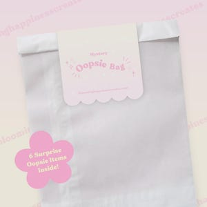 OOPSIE Mystery Sticker & Stationery Bag – Misprints Slight Seconds and Perfectly Imperfect Goodies for Journals Planners Crafting Scrapbooks