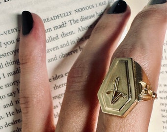 Coffin Ring; Alchemy Decomposition Ring; Occult Jewelry