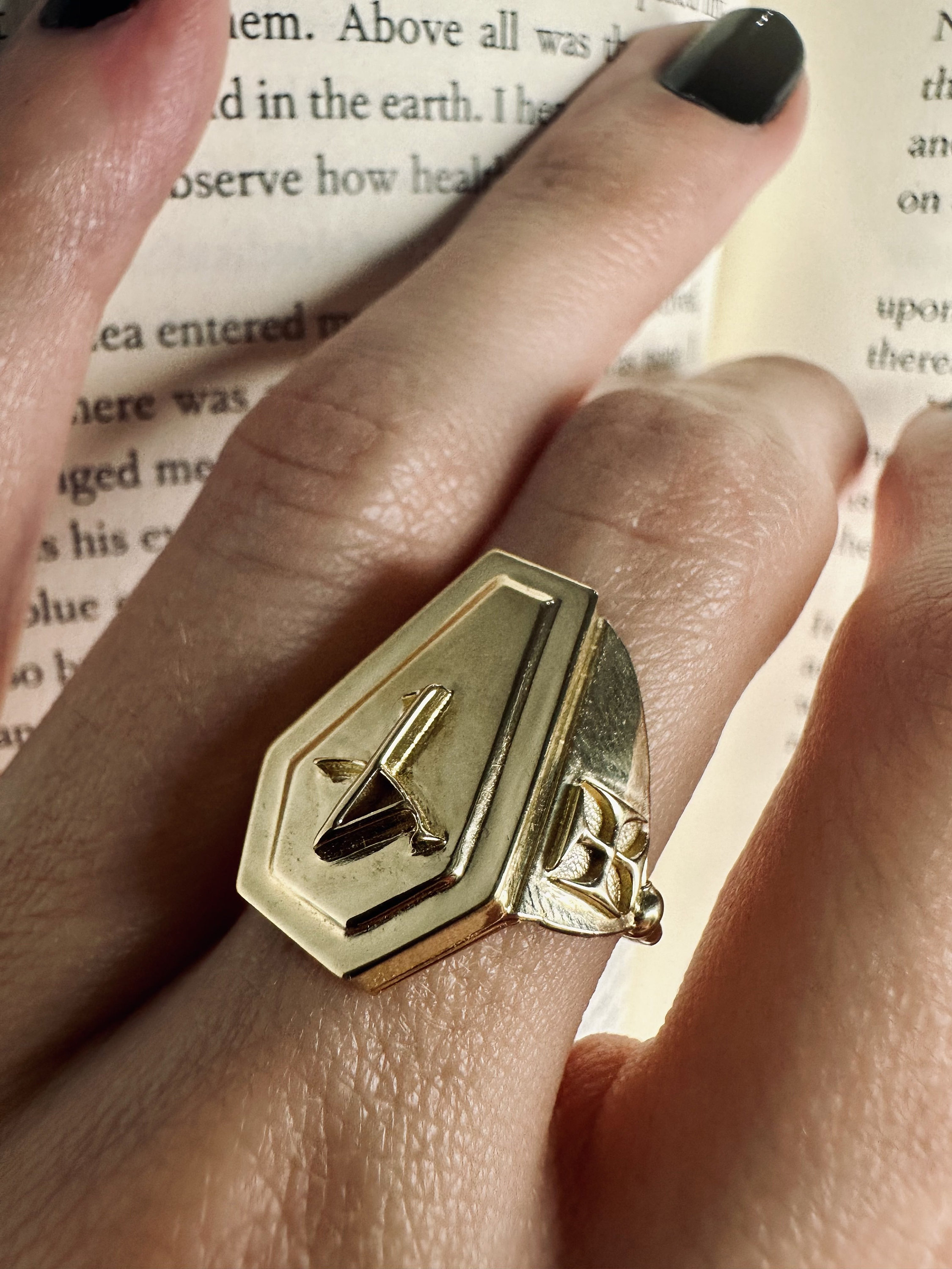 Coffin Ring; Alchemy Decomposition Ring; Occult Jewelry - Etsy