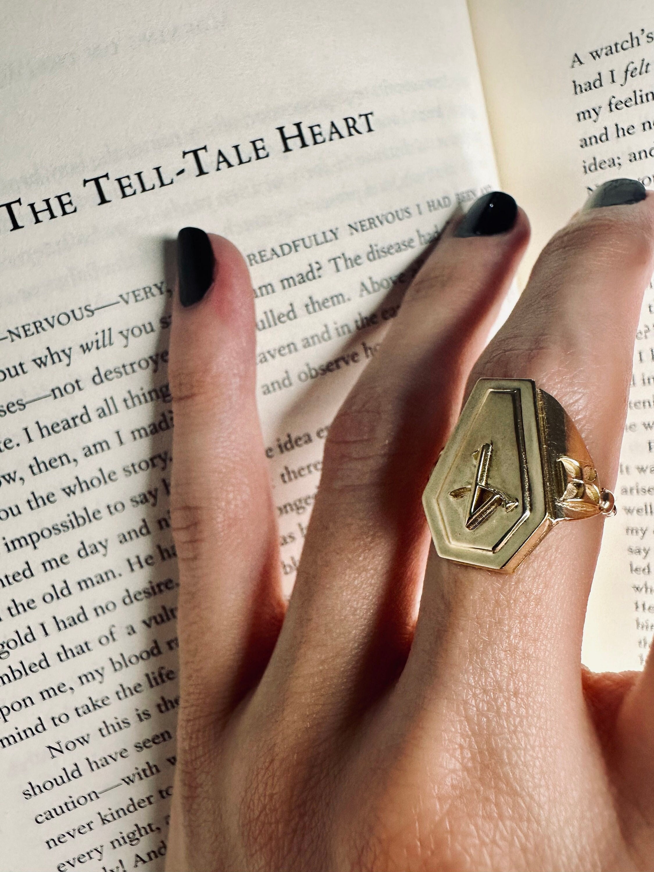 Coffin Ring; Alchemy Decomposition Ring; Occult Jewelry - Etsy