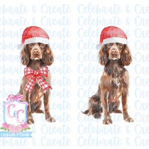 Set van 2 aquarel kerstmuts Boykin Spaniel hond gewei & rode neus PNG clipart Grandmillennial doodles AI Drew kerstjacht