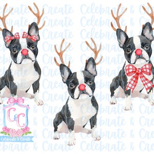 Set van 3 aquarel Rudolph Boston Terrier hond puppy gewei & rode neus PNG clipart Grandmillennial doodles AI Drew Christmas