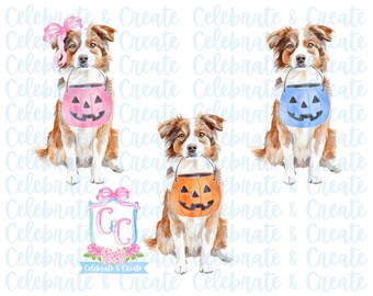 Watercolor Set of 3 Halloween Red Merle Australian Shepherd Aussie Herding Pumpkin Candy Bucket PNG Clipart Grandmillennial Preppy Doodles