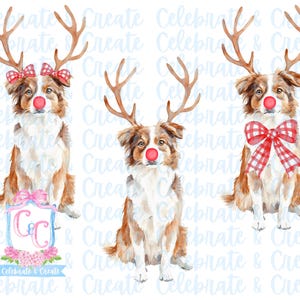 Set van 3 aquarel Rudolph Red Australian Shepherd Aussie Dog puppy gewei & rode neus PNG clipart Grandmillennial Doodles AI Christmas