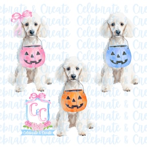 May include: Three watercolor illustrations of white poodles dressed in Halloween costumes. Each poodle is holding a pumpkin-shaped bucket. The buckets are pink, blue, and orange. The text "Celebrate & Create" is visible in the background.