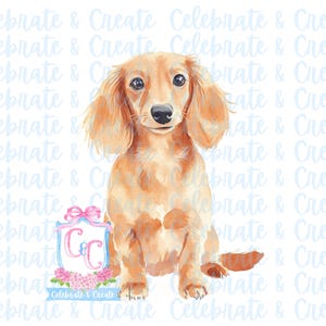 Peut inclure: Une peinture à l'aquarelle d'un teckel assis devant une boîte cadeau monogramme bleu clair et rose. Le chien est brun clair avec une poitrine et des pattes blanches. La boîte cadeau porte les lettres "C & C" en bleu clair et rose.