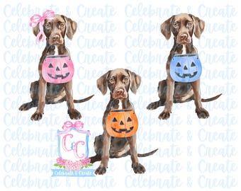 Watercolor Set of 3 Halloween GSP German Short Haired Pointer Dog Puppy Pumpkin Candy Bucket PNG Clipart Grandmillennial Preppy Doodles AI