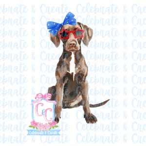 Tysk korthårig pekare GSP Lab Labrador Retriever akvarellhund Patriotisk minnesdag Fjärde juli 4 juli Arbetarindependence