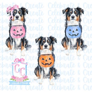 May include: Three watercolor illustrations of Australian Shepherd dogs dressed in Halloween costumes. Each dog is holding a pumpkin-shaped bucket. The first dog is wearing a pink bucket with a pink bow, the second dog is wearing a blue bucket, and the third dog is wearing an orange bucket. The dogs are all sitting down and looking at the camera.