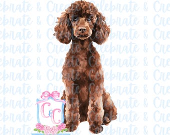 Watercolor Dog Puppy Poodle Chocolate Brown Poodle Doodle Drew Birthday Invitation Stationery