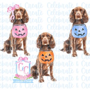 May include: Three watercolor illustrations of brown and white dogs wearing Halloween costumes. Each dog is holding a bucket with a jack-o-lantern face. The buckets are pink, blue, and orange.