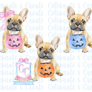 Conjunto de aquarela de 3 Halloween Bulldogue Bulldogue Bulldogue Cachorro Bulldogue Abóbora Balde de doces PNG Clipart Grandmillennial Preppy Doodles AI