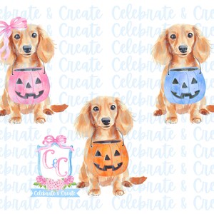 Puede incluir: Tres ilustraciones de acuarela de perros salchicha vestidos con disfraces de Halloween. Cada perro lleva un cubo con forma de calabaza. El primer perro lleva un cubo rosa, el segundo perro lleva un cubo azul y el tercer perro lleva un cubo naranja.