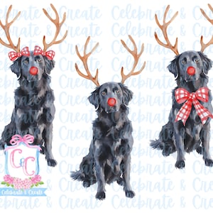 Set van 3 aquarel Rudolph Black Golden Retriever hond puppy gewei & rode neus PNG clipart Grandmillennial doodles AI Drew Christmas