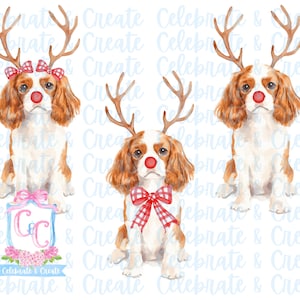 Set van 3 aquarel Rudolph Cavalier King Charles Spaniel hond puppy gewei & rode neus PNG clipart Grandmillennial Doodles AI Christmas