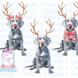 Set van 3 aquarel Rudolph zilvergrijs lab labrador retriever gewei & rode neus PNG clipart Grandmillennial doodles AI Drew Christmas