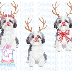 Set van 3 aquarel Rudolph Maltipoo Cavapoo hond puppy gewei & rode neus PNG clipart Grandmillennial Doodles AI Christmas