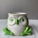 Small White Ceramic Owl planter succulents pot no drain hole with Spring Green feet, eyes, wings and beak