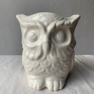 May include: A white ceramic owl figurine with a glossy finish. The owl has large, round eyes, a textured body, and small feet. The figurine is a decorative item, suitable for home decor.