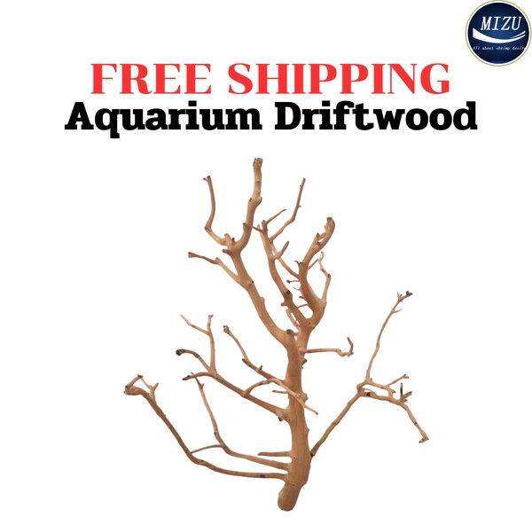 Livraison gratuite bois flotté d'aquarium pour crevettes et poissons, paysage aquatique, bois flotté, décor de réservoir d'aquarium de terrarium, décor d'habitat de reptile