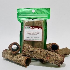 May include: A green plastic bag containing a Catappa log, with a red and white label that reads "tantora Catappa log". Several pieces of brown Catappa log are arranged in front of the bag. The label also states "Improve water conditions, Natural Hiding Place, Anti Bacteria".