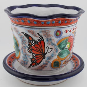 May include: A white ceramic planter with a blue rim and a colorful butterfly design. The planter has a matching saucer.