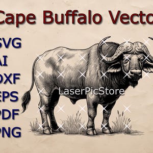 Cape Buffalo Vector File - SVG AI DXF - African Animal svg - Buffalo Laser file