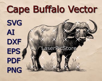 May include: A black and white line art illustration of a Cape Buffalo. The illustration is in a vintage style and features intricate details. The buffalo is standing with its head turned to the side. The text "Cape Buffalo Vector" is written in red at the top of the image. Below the image, the text "SVG, AI, DXF, EPS, PDF, PNG" is written in blue.