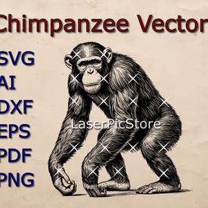Op de afbeelding: Zwart-witte lijntekening van een chimpansee die op alle vier poten staat. De afbeelding is gelabeld "Chimpanzee Vector" en bevat de bestandsformaten SVG, AI, DXF, EPS, PDF en PNG.