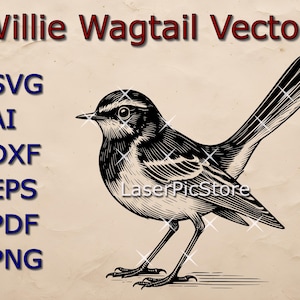 May include: Black and white line art illustration of a Willie Wagtail bird. The bird is facing right and has a long tail. The image is on a beige background with the text "Willie Wagtail Vector" at the top and a list of file formats (SVG, AI, DXF, EPS, PDF, PNG) below.