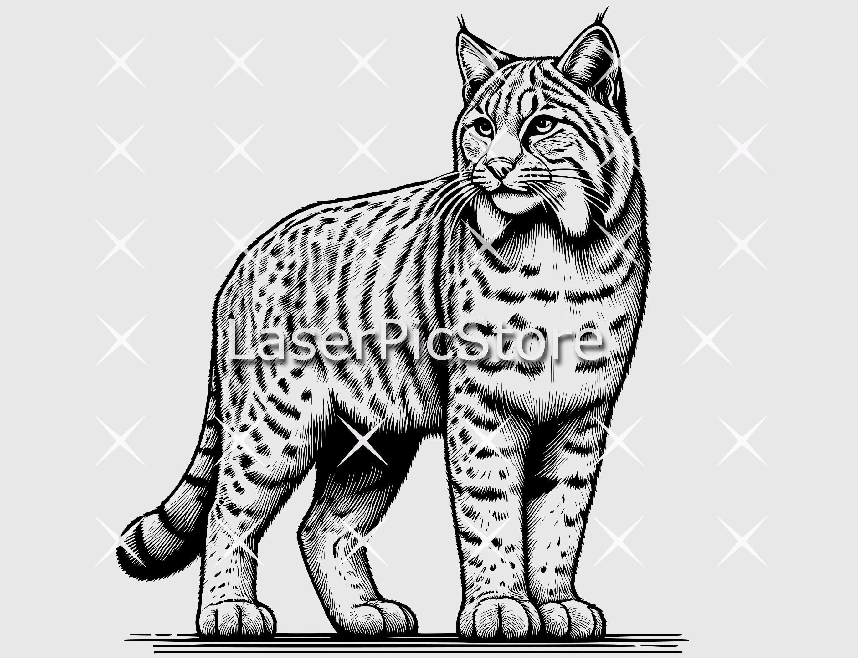 North American Animal Vector Files - SVG AI DXF and More - 10 Animals ...