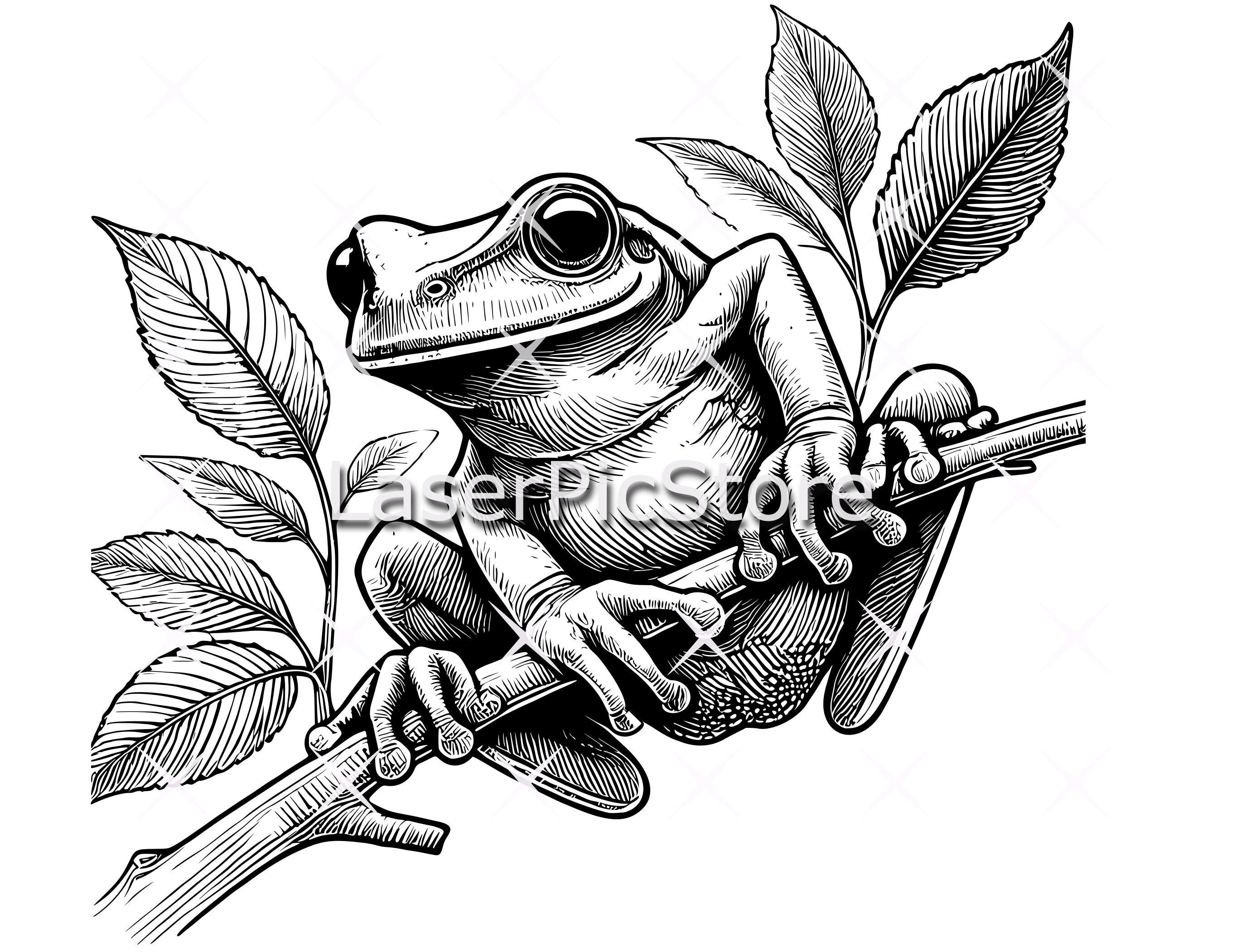 Tree Frog Vector File - SVG AI DXF and More - Australian Animal Svg ...