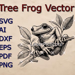 Fichier vectoriel Rainette - SVG AI DXF et plus - svg animal australien - fichier vert rainette