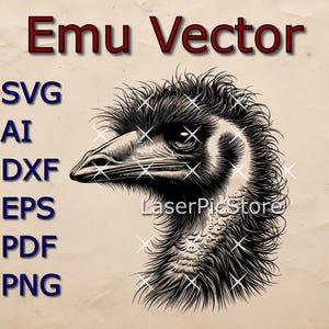 Detailliertes Vektor eines Emu Kopfes - SVG AI DXF und mehr - Australisches Tier svg - Emu Laser-Datei - Emu Print - Emu Gesicht svg