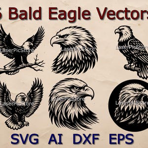 May include: Six black and white vector illustrations of bald eagles in various poses. The illustrations are in a vintage style and feature detailed feathers and sharp beaks. The text "6 Bald Eagle Vectors" is at the top of the image, and the text "SVG AI DXF EPS" is at the bottom.
